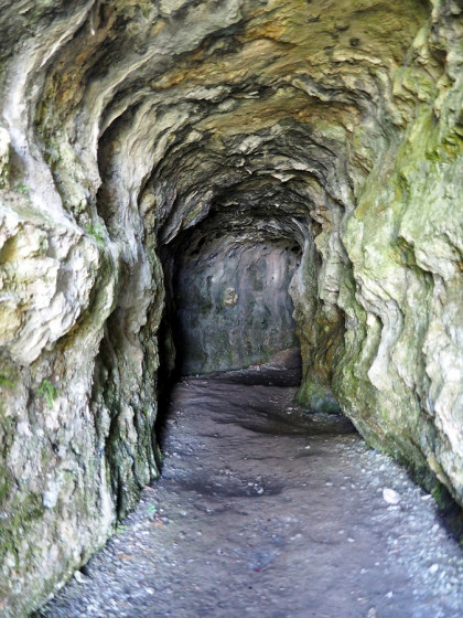 La Grotte du Renard