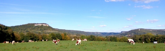 La haute vallée de la Loue