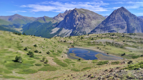 La Lac Noir, avec des efflorescences circulaires colorées