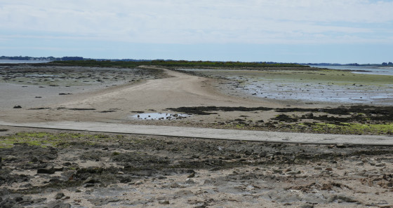 La langue de sable qui m&egrave;ne &agrave; la petite &icirc;le En&eacute;zy