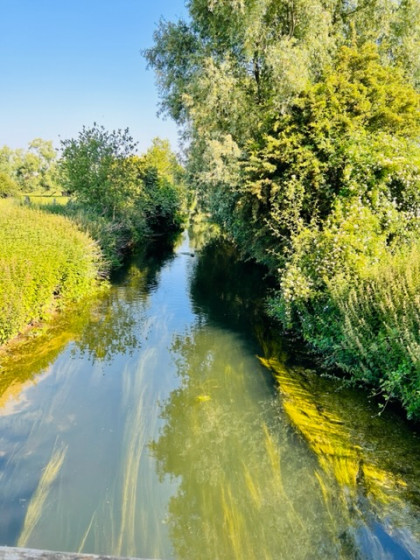 La Lawe
