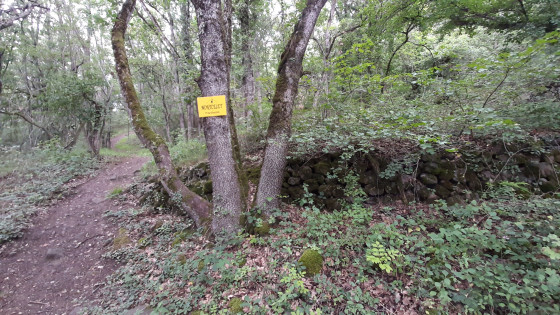 La ligne du premier rempart
