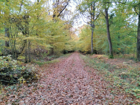 La ligne Jacob