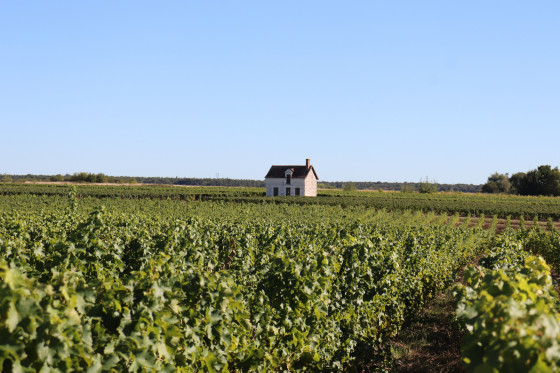La loge de Perrin dans le vignoble de Lye