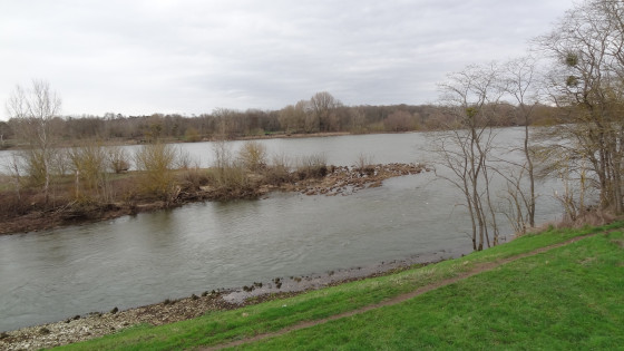 La Loire à Mareau-aux-Prés