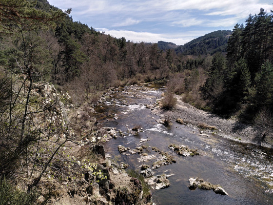 La Loire vers la source de Bonnefont