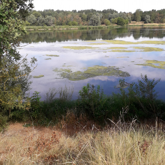 La Loire