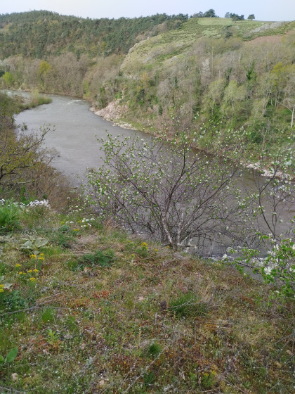 Les gorges de la loire
