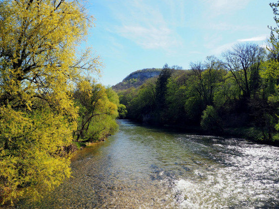La Loue à Maisière-Notre-Dame