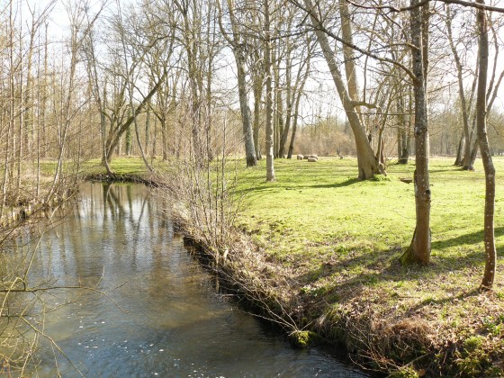 La Louette