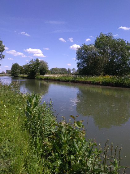 La Lys