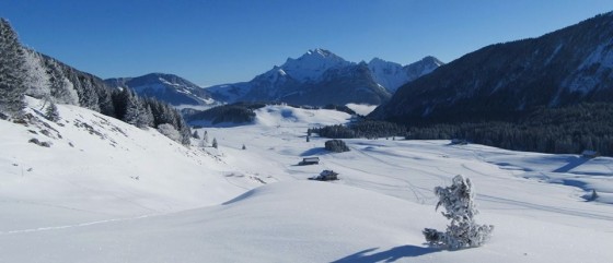 La Mandrolière