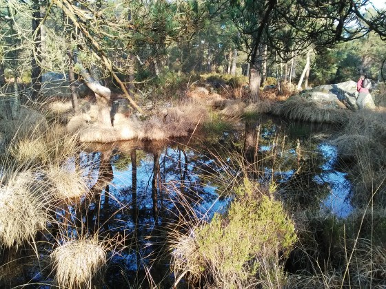 La Mare à Dagneau