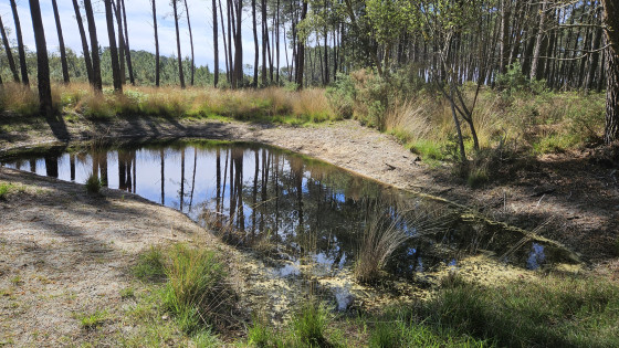 La Mare aux Biches