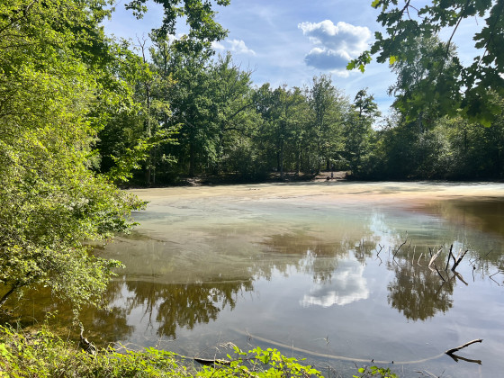 La mare aux Ev&eacute;es
