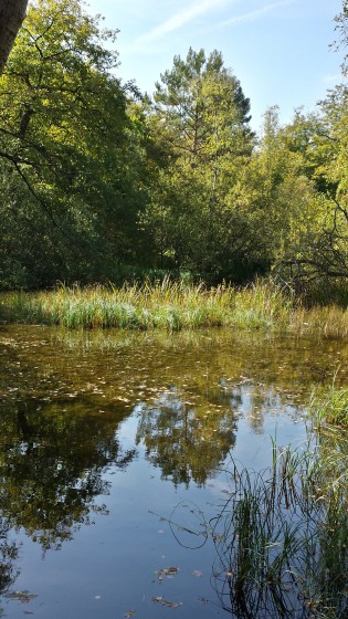la mare aux fées