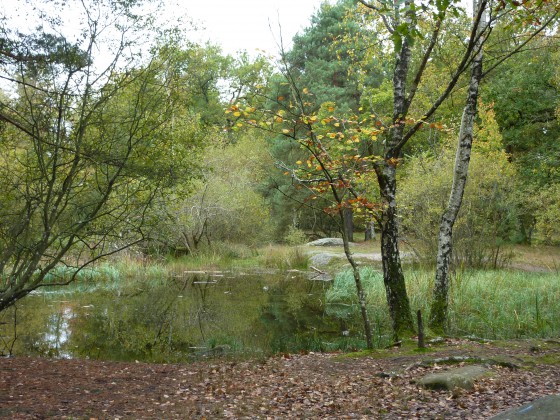 La mare aux fées