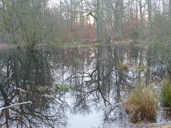 La mare aux fées