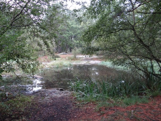 La Mare aux Fées