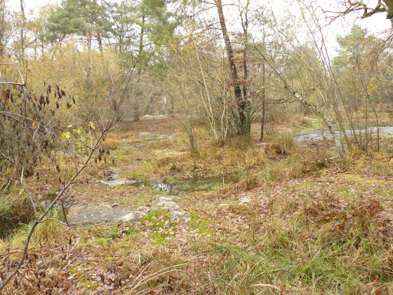 La Mare aux Fées