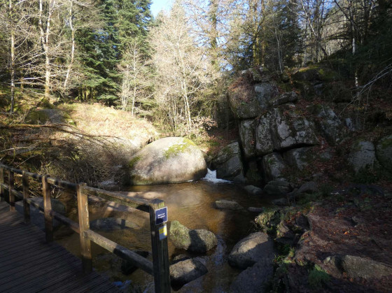 La Mare aux Sangliers