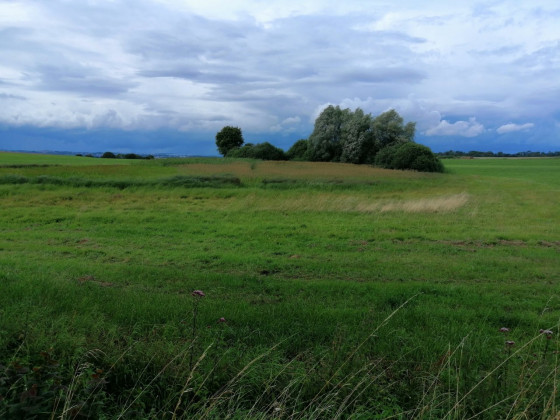 la mare de la Michotte