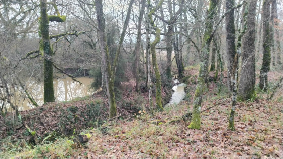 La mare du Rieu Tord