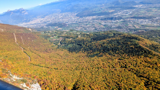 la mar&eacute;e rousse d'automne est incroyable