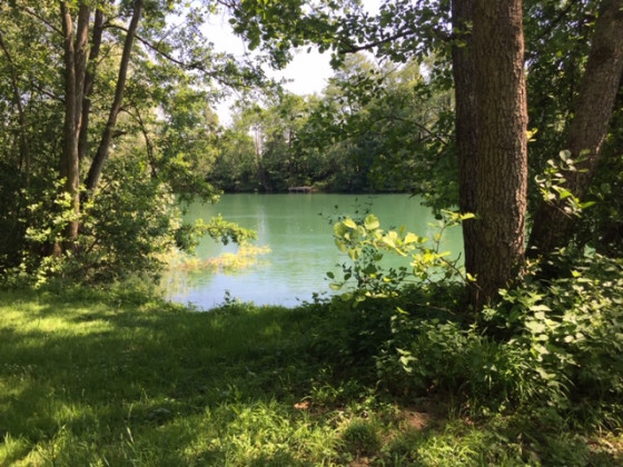 La Marne vers Sainte Aulde