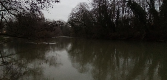 La Marne