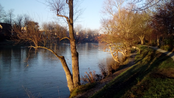 Lumière matinale sur la Marne