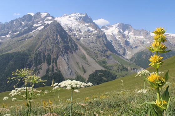 La Meje