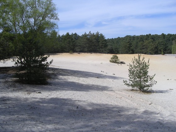 La mer de sable (Poligny)