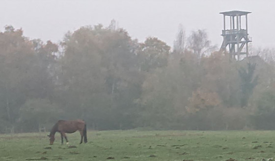 La mine à la campagne.