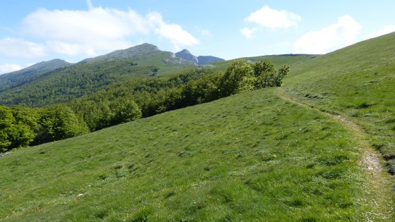 La montagne d'Ambel