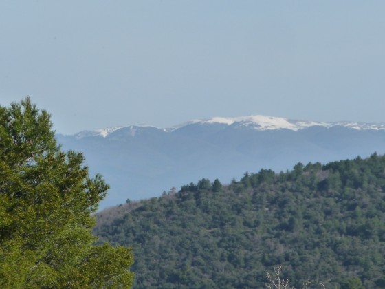 La montagne de Lure