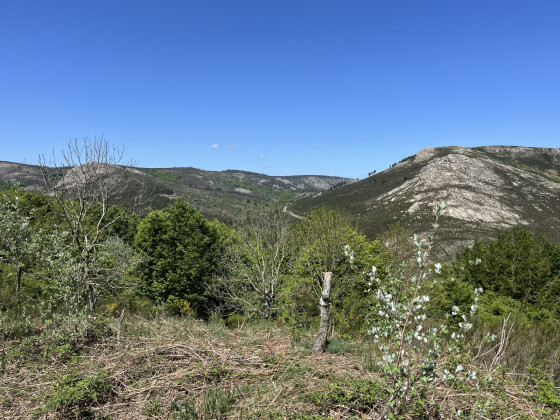 La montagne de Rosis