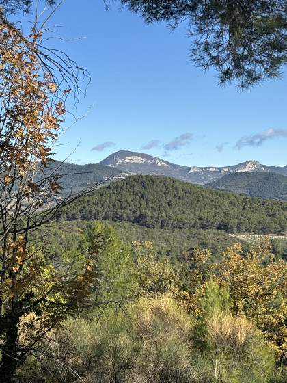 La montagne du Lincueil