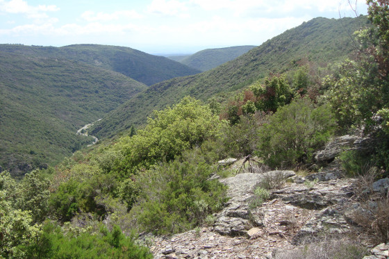 La Montagne Noire vers le sud.