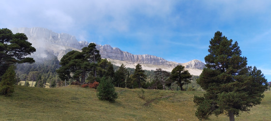 La Montagnette