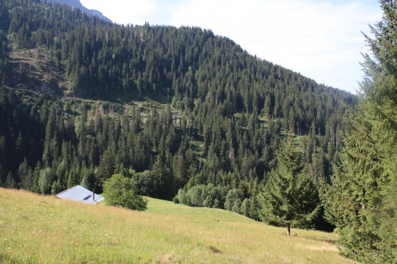 La Montaz