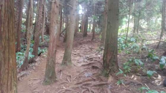 La montée au Piton Cabris
