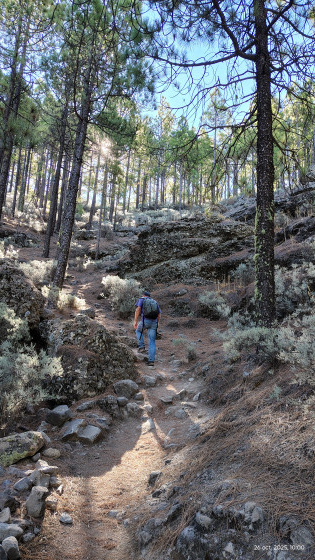 La mont&eacute;e dans les bois.