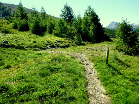 La montée se poursuit