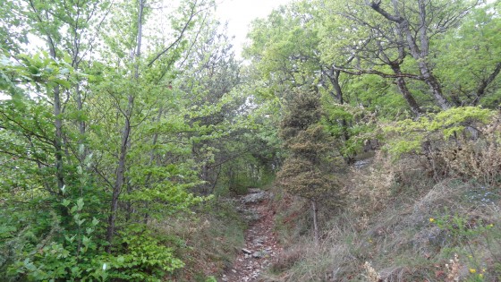 la montée
