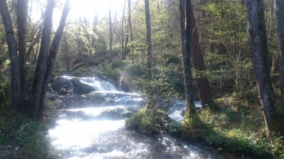 La Mourne, rive droite