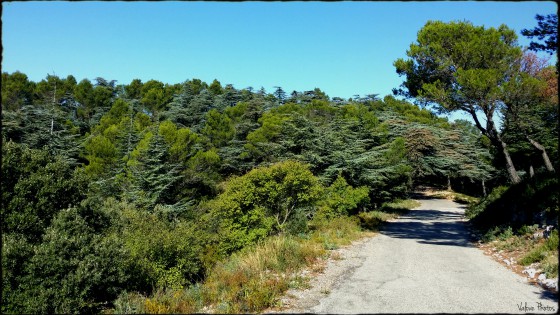 La nature est belle