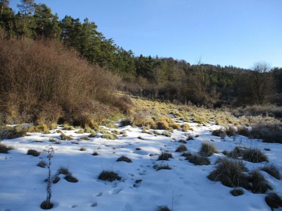 La neige
