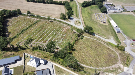 La nouvelle plantation