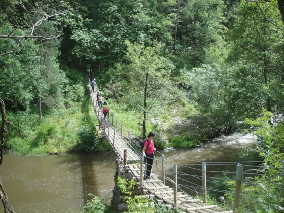 La passerelle cablée, après St Sorny